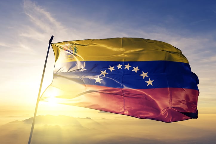 Venezuela Flag 3