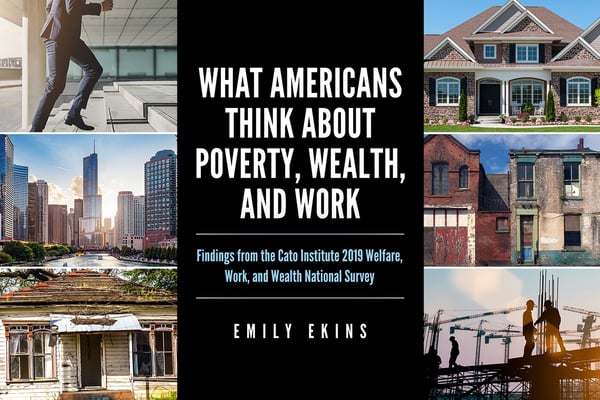 2019 Welfare Work Wealth National Survey 